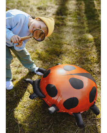 Balon foliowy Biedronka, 85x83 cm, mix