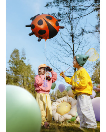 Balon foliowy Biedronka, 85x83 cm, mix