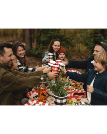 Kubeczki w kratę, mix, 400 ml (1 op. / 6 szt.)