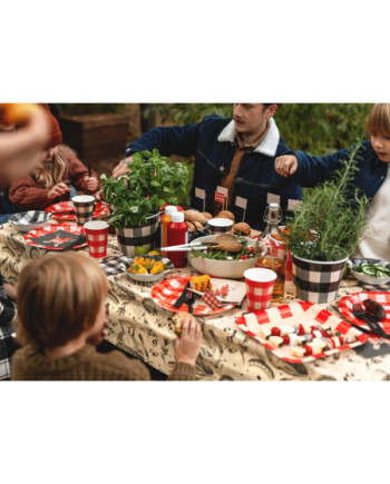 Wiaderka na przekąski Krata, 14 cm, mix (1 op. / 2 szt.)