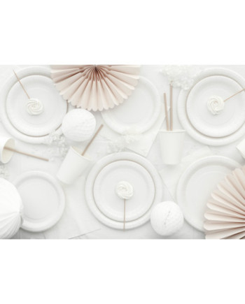 Talerzyki papierowe, biały, 18cm (1 op. / 6 szt.)