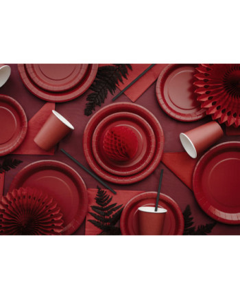 Talerzyki papierowe, ciemny czerwony, 23cm (1 op. / 6 szt.)