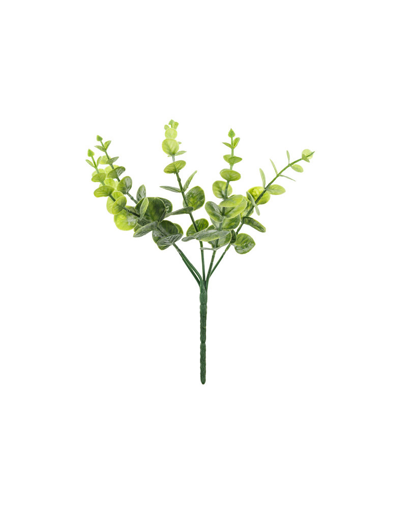 Gałązka Eukaliptus, 27 cm