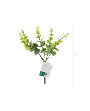 Gałązka Eukaliptus, 27 cm