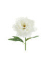 Sztuczny Kwiat - Piwonia, 35 cm, biały